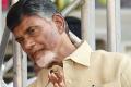 Andhra Pradesh Chief Minister N Chandrababu Naidu - Sakshi Post