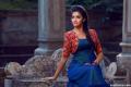 After names of actresses such as Vidya Balan, Nithya Menen and Anushka Shetty doing the rounds, young Keerthy has grabbed the golden opportunity - Sakshi Post