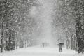 A deadly icy spell has gripped Europe - Sakshi Post