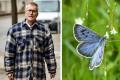 Phillip Cullen is charged with killing of endangered Large Blue butterfly specimens - Sakshi Post