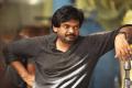 Director Puri Jagannadh - Sakshi Post