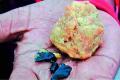 Coal pieces found in Tirupati laddu - Sakshi Post