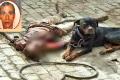 The caretaker was trying to chain the dog when the attack happened - Sakshi Post