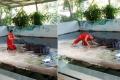 A crocodile tries to gorge a zookeeper’s head during a stunt - Sakshi Post