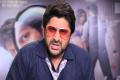 Arshad Warsi - Sakshi Post