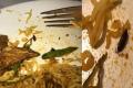 Kiran Goud shows the insect found in his dish at Ulavacharu - Sakshi Post