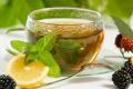 A study suggests that green tea could help alleviate insulin resistance and cognitive impairment induced by high-fat and high-fructose diets - Sakshi Post