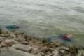 Two bodies floating on the shores of the Mylavaram Reservoir, on Friday. - Sakshi Post