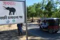 Wild elephants killed four Rohingya refugees including three children as they were building a shack on forest land in southern Bangladesh on Saturday. - Sakshi Post