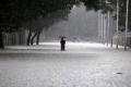 Schools and colleges remained closed for the second day in view of the rains - Sakshi Post