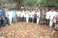 YSRCP activists breaking coconuts in Giddalur - Sakshi Post