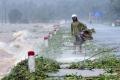 The storm is the worst in decades to strike the southern coastal region - Sakshi Post