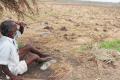 One farmer killed himself in Sehore, the home district of Chief Minister Shivraj Singh Chouhan. (Representational image)&amp;amp;nbsp; - Sakshi Post