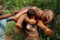 Sarathkumar with the elephant calf. - Sakshi Post