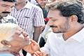 YS Jagan interacts with an old woman in Chittoor - Sakshi Post