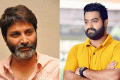 Trivikram Film With NTR - Sakshi Post