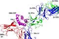 The researchers also examined macrophages -- a type of white blood cell found at sites of infection -- from the mice’s lungs. - Sakshi Post