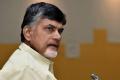 Andhra Pradesh Chief Minister N Chandrababu Naidu - Sakshi Post