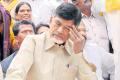 Chief minister Chandrababu Naidu - Sakshi Post