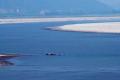 India Will Get Brahmaputra River Data From China - Sakshi Post