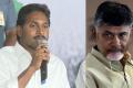 YSRCP President questions AP CM Chandrababu Naidu - Sakshi Post