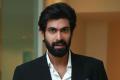 Rana Daggubati - Sakshi Post