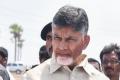 Andhra Pradesh CM N Chandrababu Naidu - Sakshi Post