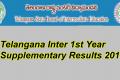 TS Inter 1st Year Betterment Results 2018 - Sakshi Post