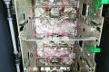 The rats munched through an estimated Rs. 12 lakh worth of hard currency - Sakshi Post