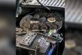 Venomous timber rattlesnake inside a car’s engine compartment &amp;amp;nbsp; - Sakshi Post