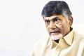 Andhra Pradesh N Chief Minister Chandrababu Naidu - Sakshi Post