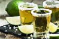 Sugars found in the plant makes tequila could lower blood glucose levels for people with type 2 diabetes, and help obese people lose weight - Sakshi Post