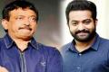 Jr NTR’s Aravinda Sametha Vs RGV’s Bhairava Geetha - Sakshi Post