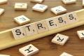 Stress Won’t Affect Men’s Fertility Score&amp;amp;nbsp;&amp;amp;nbsp; - Sakshi Post