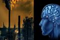 Air Pollution Could Cause Intellectual Disability: Study - Sakshi Post