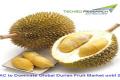 Durian Fruit - Sakshi Post