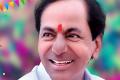 Why TRS Won Telangana Polls - Sakshi Post