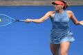 Australian Open: Sharapova Beats Wozniacki - Sakshi Post