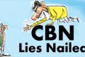 Chandrababu Naidu lies Nailed - Sakshi Post