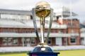 The World Cup trophy - Sakshi Post