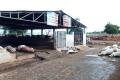 Mystery Shrouds Death Of 80 Cows In Vijayawada Shelter Home - Sakshi Post