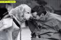 Relationship Goals With Your Pets - Sakshi Post