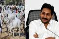 AP CM YS Jagan Mohan Reddy - Sakshi Post