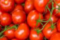 Tomatoes - Sakshi Post