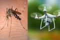 New initiative to stop the rapid growth of mosquitoes using drones! - Sakshi Post