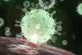 Coronavirus - Sakshi Post