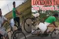 : 4 Migrant Workers 1,600 Kms Bicycle Journey From AP To Agra - Sakshi Post