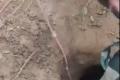 150-metre Long Tunnel Detected  in Jammu By BSF - Sakshi Post