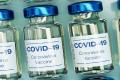 30pc of Vaccinated People Lose Immunity 6 Months After Jab, Shows Study - Sakshi Post