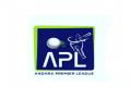 andhrapremierleagueplayoffs - Sakshi Post